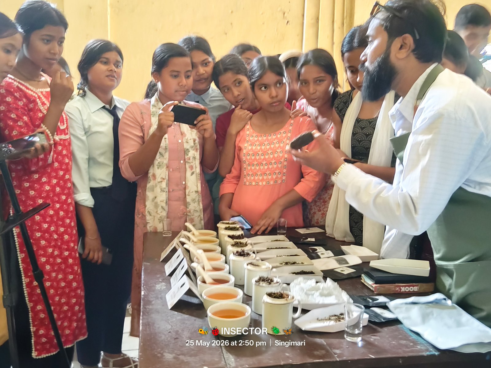 Tea Tasting & Branding