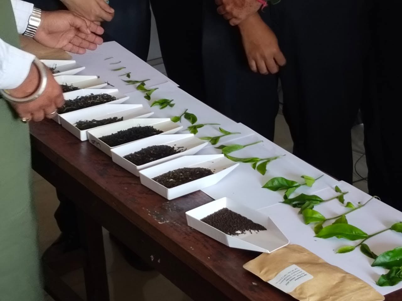 Tea Tasting & Branding